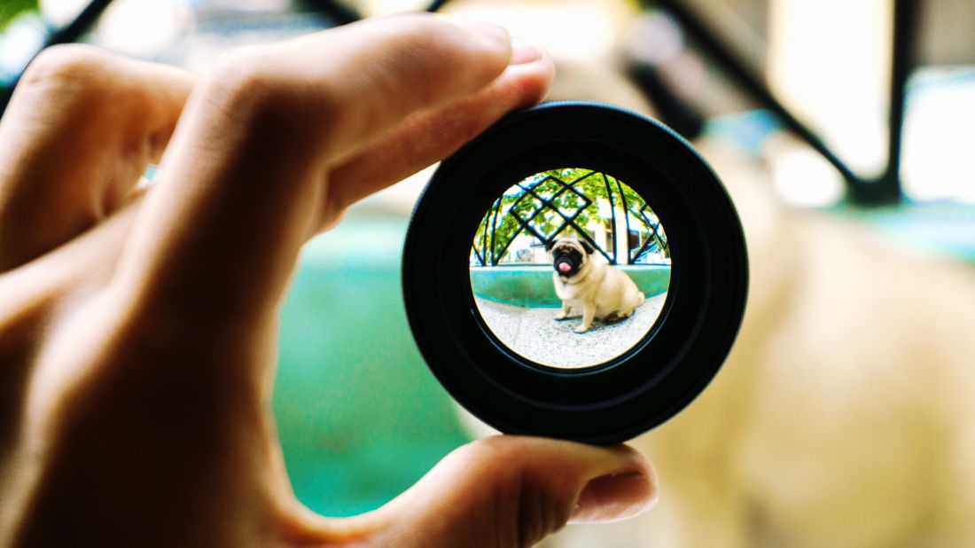 Fotografia studies